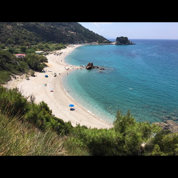 Meet your Posher, Rosemary - Picture 2 of 8